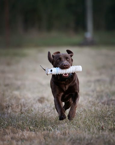 This girl loves her bumpers!