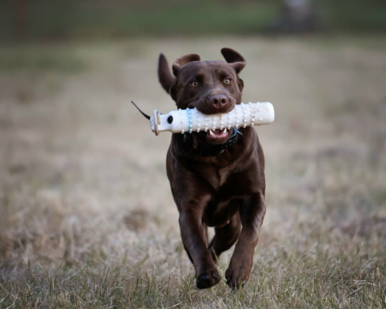 This girl loves her bumpers!